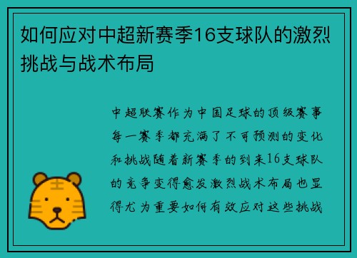 如何应对中超新赛季16支球队的激烈挑战与战术布局