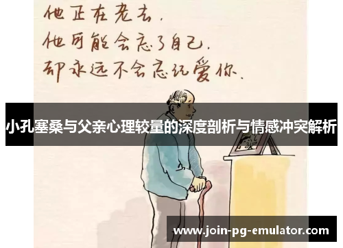 小孔塞桑与父亲心理较量的深度剖析与情感冲突解析