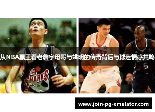 从NBA票王看老詹字母哥与姚明的传奇背后与球迷情感共鸣